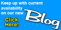 Blog Button
